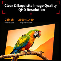 Moniteur de jeu PC 2K 2560*1440 24 pouces 100 Hz Moniteurs de bureau PC Utilisation au bureau Interface DP Panneau LCD