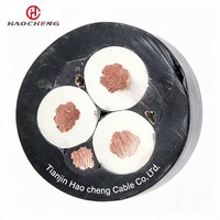 Kabel Fleksibel Berisolasi Karet MC 0.38/0.66KV untuk Mesin Pemotong Batubara, Inti Tembaga, Kabel Daya