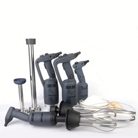 Mixeur plongeant professionnel en acier inoxydable 500W électrique avec 20 réglages de vitesse pour usage hôtelier
