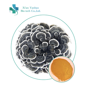 Thực phẩm lớp <span class=keywords><strong>yunzhi</strong></span> chiết xuất Polysaccharide 10% 50% <span class=keywords><strong>coriolus</strong></span> versicolor chiết xuất bột hữu cơ <span class=keywords><strong>yunzhi</strong></span> nấm chiết xuất - Product Image 1