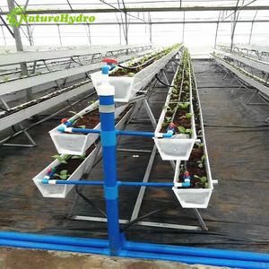 Système de plantation de plateaux de fraises de <span class=keywords><strong>gouttière</strong></span> hydroponique en plastique <span class=keywords><strong>PVC</strong></span> - Product Image 2