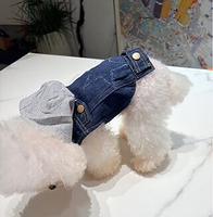 Chemises et Manteaux Modernes en Jean pour Chiens et Chats, en Coton Écologique, Vente en Gros, Style Décontracté Printemps-Hiver