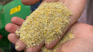 다기능 가금류 동물 사료 잔디 분쇄 초퍼 잔디 절단기 사료 가공 건초 절단기 짚 옥수수 줄기 분쇄기 - Product Image 6