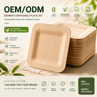 Ensemble d'assiettes jetables écologiques en bambou carrées personnalisées, biodégradables, de 4 à 10 pouces, pour mariage et fête