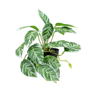 Senmasine Monstera <span class=keywords><strong>Spathiphyllum</strong></span> Pothos taro เงิน Begonia ใบแตงโมพืชใบพืชในหม้อ - Product Image 5