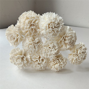 2025 Artificial Carnation Bulk Handmade Reed <strong>Diffuser</strong> Sola Wood Flower for Home Wedding Decor - Product Image 2