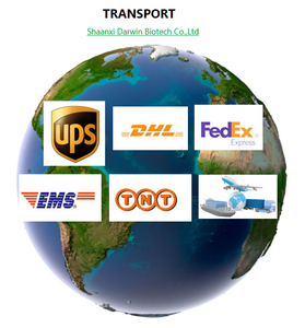 Capsule d'arginine de marque de distributeur OEM Supplément d'acide aminé l capsules d'arginine l-arginine - Product Image 6