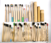 Nouvelle conception 2026 – Brosse à dents en micro-bristles de soie et bambou ultra-douces (plus de 10 000 fibres) pour adultes et enfants