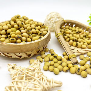 Hạt Đậu Nành Vàng Tự Nhiên Và Không Biến Đổi Gen Chất Lượng Cao/Đậu Nành/Đậu Nành - Product Image 6