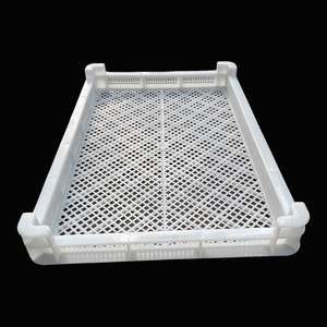 Bandejas de Secado Apilables de Plástico para Pepino de Mar / Mariscos / Pescado / Bolas de Pintura / Gomitas / Cápsulas Blandas / Vegetales - Product Image 2