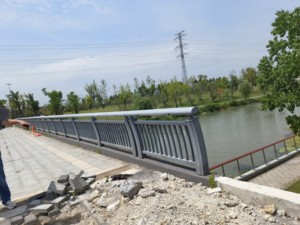 סין ליצר גשר כביש נוף נגד התנגשות בטיחות מעקה מעקה הרכבת מגן נירוסטה מעקה - Product Image 6