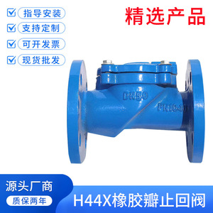 วาล์วเช็คบอล Shen Hui DN50 PN10 วาล์วทางเดียวแบบหน้าแปลนเหล็กหล่อสำหรับระบบระบายน้ำเสีย - Product Image 5