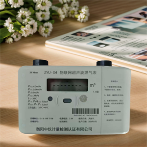 Compteur de gaz ultrasonique mural intelligent ZHONGYI G4 de haute précision classe 1.5 avec LoRaWAN/NB-IoT/GPRS/4G pour usage résidentiel - Product Image 1