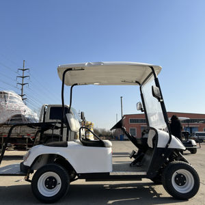 Fabrika doğrudan satış opsiyonel renk kulübü araba hızlı tek kişilik yetişkinler için <span class=keywords><strong>2</strong></span> Mini koltuk elektrikli Golf arabaları - Product Image 1