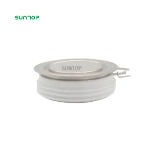 Nouveau en stock Thyristors de contrôle de Phase de Type russe (version Capsule) T143-500 400-1600V 500A 600A 1000A 1250A pour soudeur