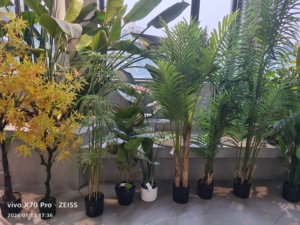 Usine directe grand PE vert bambou artificiel arbre et plante pour café bureau bureau salle jardin décor extérieur - Product Image 5