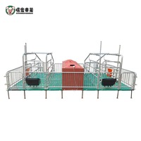 Équipement d'élevage porcin, stalles de mise bas pour truies galvanisées sur mesure / enclos de mise bas / cage de mise bas