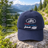 Op maat gemaakte paarse baseballcap voor boetieks, snel drogende vintage pet met geprint logo, kleine oplage OEM