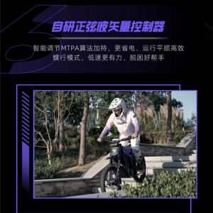 Batería de Alta Potencia de 72V 40Ah para Motocicleta Eléctrica LYNX TRAIL, Velocidad Máxima Superior a 90 km/h - Product Image 5