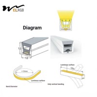 Guirlandes lumineuses LED néon irisées 12V 24V pour intérieur, éclairage programmable pour escaliers, barre flexible à défilement, contrôle par application, IP66