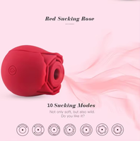 Vibrateur Rose en Gros pour Femmes – Jouet Sexuel à Prix Abordable, Masseur Clitoridien et Mamelons, Masturbateur Rose – Direct Fabricant