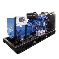 Groupe électrogène diesel à capot 3 phases 250 kW 300 kVA sans surmarche, moteur Weichai WP10D320E200 pour la construction