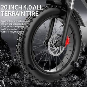Vélo tout-terrain électrique 48V 1000W 20 pouces gros pneu 7 vitesses frein à huile neige vélo électrique alimentation par batterie électronique intelligente - Product Image 5