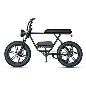 Dynalion bicicleta elétrica pneu gordo montanha ebike moda cidade bicicleta bicicleta elétrica E-Bikes