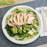 Assiette Ronde Jetable en Bagasse Biodégradable et Compostable de 9 Pouces pour Fêtes, Certifiée BPI pour Restaurants et Hôtels
