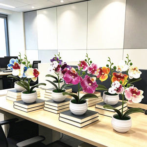 Planta Artificial en Maceta de Orquídea Phalaenopsis en Miniatura Paulon, Dos Flores, 17.5 cm de Alto, Decoración para el Hogar, Accesorio para Fotografía en Exteriores - Product Image 1