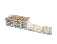 Caisses en plastique PP à design maillé pour le stockage des œufs, bacs pratiques pliables, boîtes empilables, conteneurs recyclables