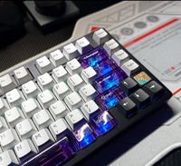 ATTACK SHARK X68HE AULA F75 Mchose ACE60 FGG MAD 60 MAD68 Aula Win60 Ajazz AK820 Hot Sublimation Transparent Keycaps Keycap