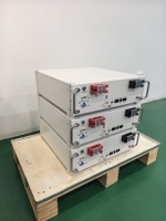 Batterie solaire Greensun 5,12 kWh 51,2 V 100 Ah au lithium pour système de stockage domestique
