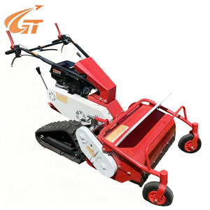 Marcher derrière la tondeuse à gazon Machine à essence à usage domestique pour les outils à main électriques de jardin et de ferme - Product Image 1