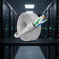 Kabel LAN Jaringan Kecepatan Tinggi ST OEM CAT6a Pasokan Pabrik Kabel Jaringan UTP PE/PVC Tanpa Pelindung Sesuai Permintaan Anda