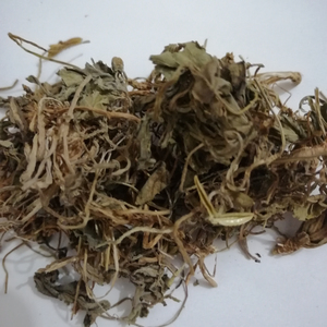 <span class=keywords><strong>Zi</strong></span> hua <span class=keywords><strong>di</strong></span> ding plantes entières séchées brutes herbe vivace PAS extrait naturel HERBA VIOLA à vendre - Product Image 5