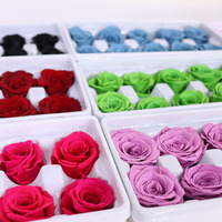 Grossistes du Yunnan prix d'usine de roses éternelles conservées 21 pièces 2-3 cm boutons de roses conservés pour l'arrangement de fleurs de la Saint-Valentin