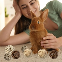 Bola Kunyah Paket 8 Mainan Bola Kunyah untuk Hewan Kecil Hamster Kelinci Marmut Chinchilla Gerbil Kelinci