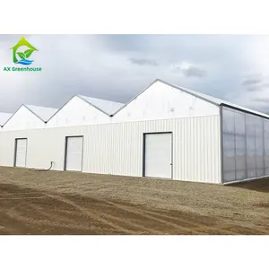 Hot Dip Galvanized Metal Frame Wind Resistant serre agricole Agriculture Polycarbonate PC Sheet Greenhouse