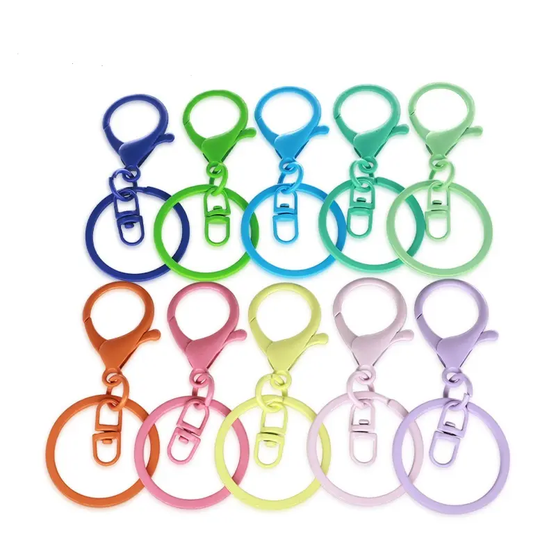 Màu Sắc Kim Loại Vòng Tôm Hùm Clasp Móc Chuỗi Vòng Chìa Khóa Dài 65Mm Đối Với Trang Sức Làm DIY Keychain Làm Cho Nguồn Cung Cấp Phụ Kiện