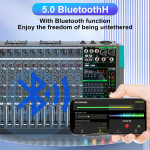 GT12数字256效果放大器混频器12通道专业音频混频器，带放大器800W * 2电源控制台 - Product Image 4