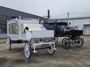 2025 blanco y negro Vintage dibujado por caballos boda turismo princesa carruaje horseless Royal carro eléctrico para la venta - Product Image 2