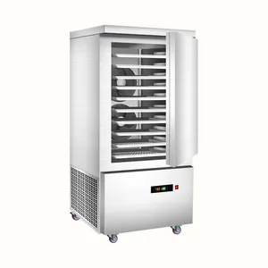 Hot Sale Kommerzielle Restaurant ausrüstung Fast Blast Chiller Shock Freezer Eis kompressor 10 Tabletts für Fisch fleisch Gemüse