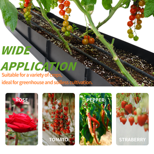 Serre de culture hydroponique en plastique PP résistante aux UV pour <span class=keywords><strong>tomates</strong></span>, roses et concombres, grande taille, montage facile - Product Image 2