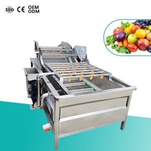 Mesin Cuci Sayur dan Buah dengan Gelembung Udara, Mesin Cuci Sayur Stainless Steel 304, Mesin Cuci Buah dan Sayur Industri - Product Image 1