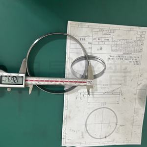 MSGP R05252ผงแหวนแทนทาลัมอัลลอยกำลังสูง, เคมี/อุตสาหกรรม/อุณหภูมิสูงอุปกรณ์ ASTM B468ตัดเลเซอร์1กก. - Product Image 4