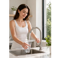 Robinet de cuisine monocommande à poser sur comptoir, en acier inoxydable brossé, finition brossée, style moderne, robinet d'eau froide, usage hôtelier, garantie 3 ans