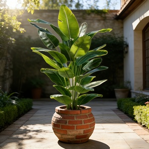 1 Árbol <span class=keywords><strong>Tropical</strong></span> Artificial Tamaño King |   Bajo Mantenimiento, Plástico de Alta Calidad, Ideal para Uso en Interiores/Exteriores, Adecuado - Product Image 3