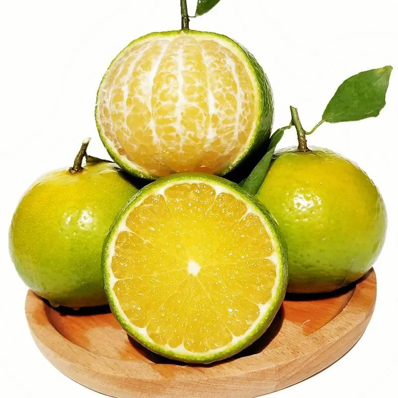 Nan Feng Sweet Tasty Orange Köstliche saftige Mandarine in Premium qualität 100% natürliche frische Früchte