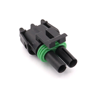 Connecteur automobile série 2.5, faisceau de câblage étanche, connecteur 2 trous, gaine PA66, fiche 12015792